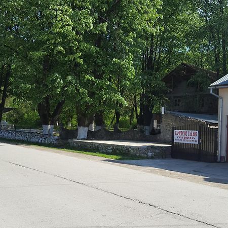Casa Borcean Villa Sasca Montană Exterior foto