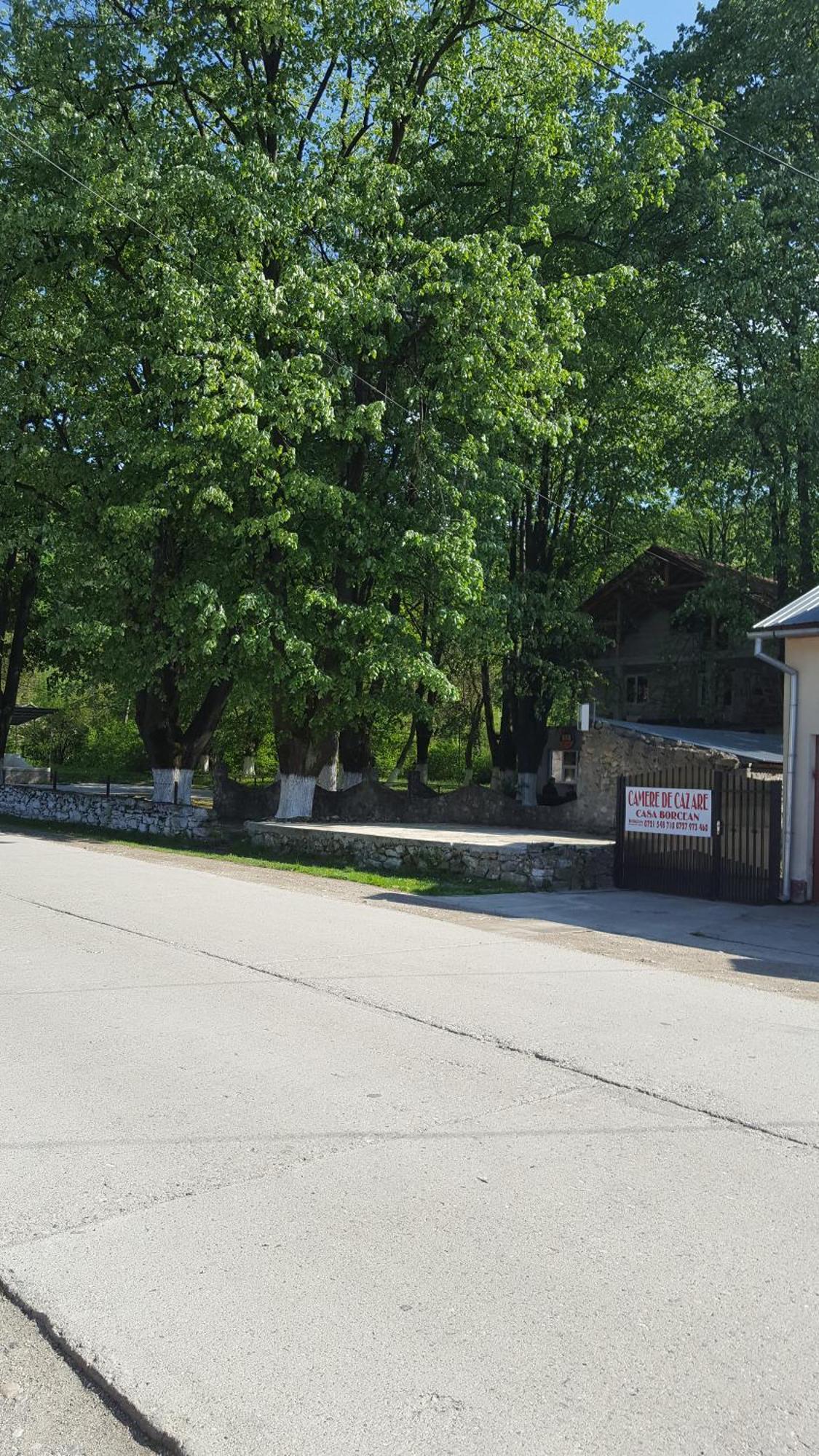 Casa Borcean Villa Sasca Montană Exterior foto
